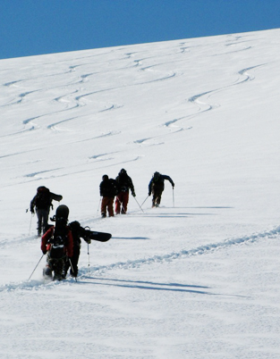 whistler designers