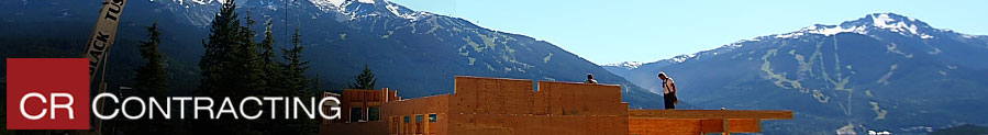 whistler design and build