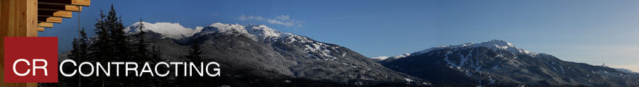 whistler construction company